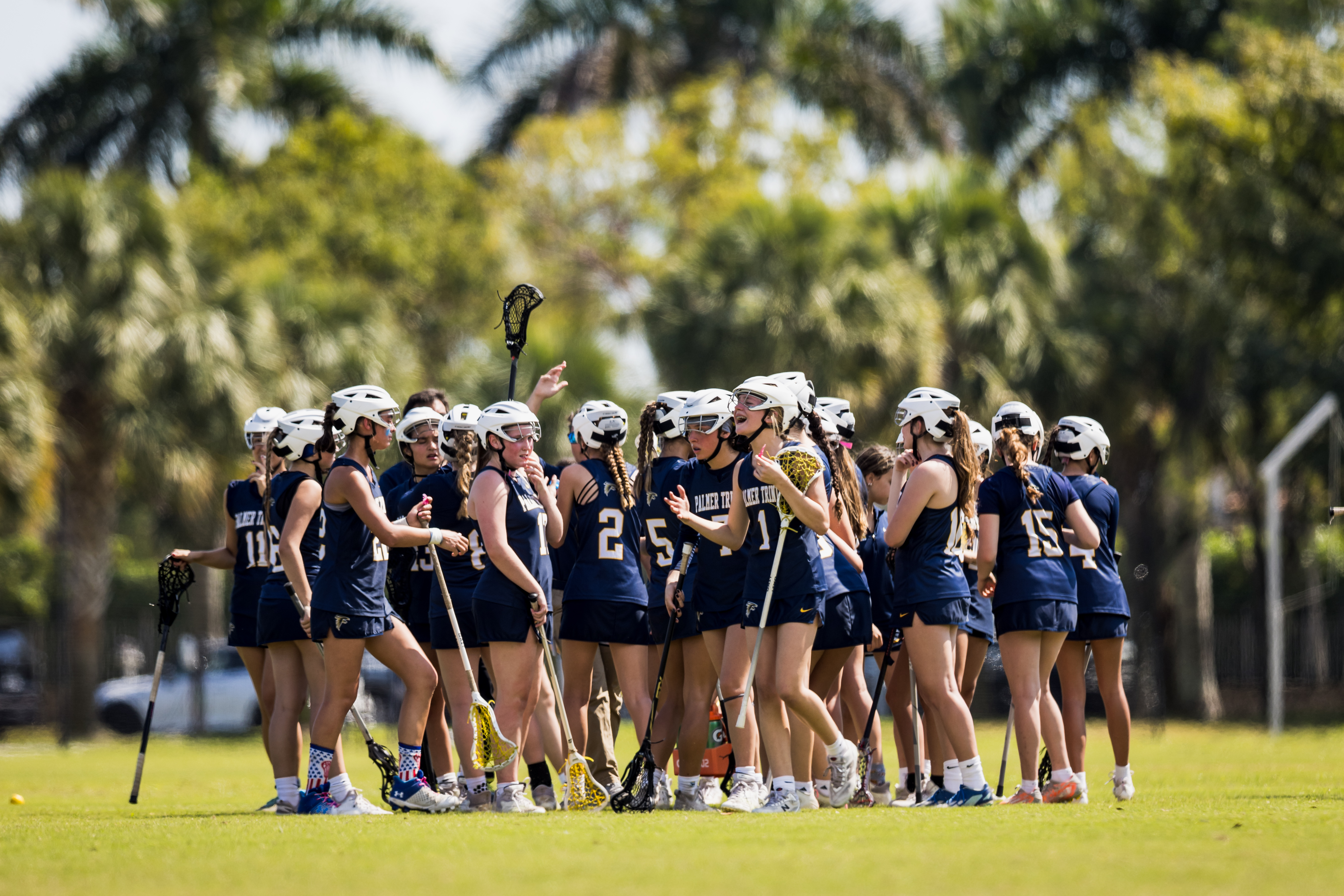 Palmer Trinity Falcons