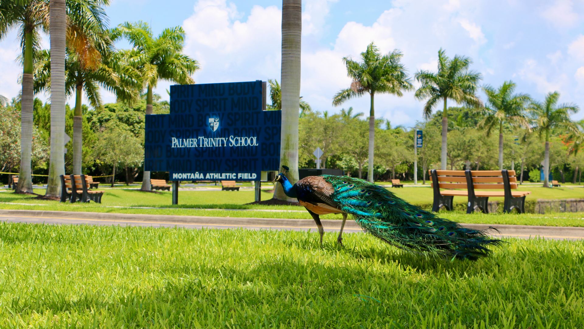 Environmental Stewardship