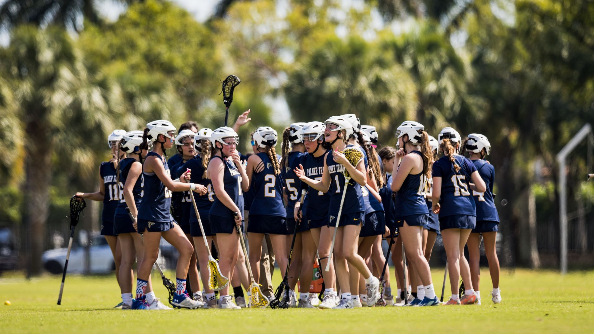 Falcon Summer Experience