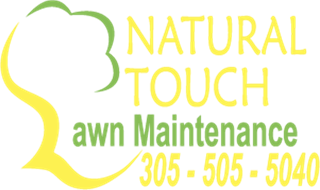 Natural Touch